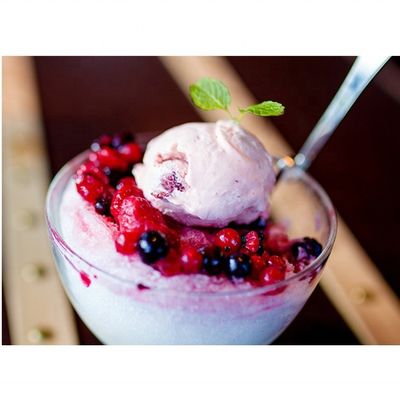 220V/50Hz 48 KG Slush machine à chiot 420x590x810 mm