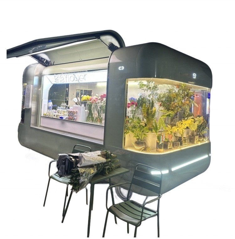 Camion de restauration rapide au Ghana Rue de restauration mobile Hot dog électrique glace Foodtruck